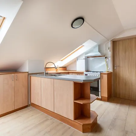 Apartament Penthouse By Stn *